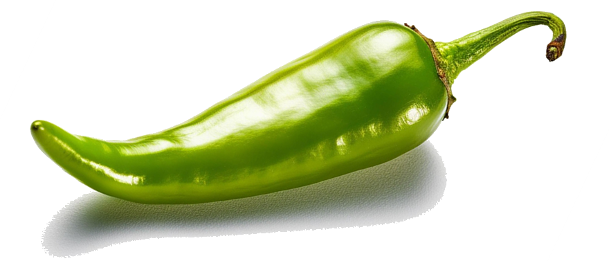 image_not_found